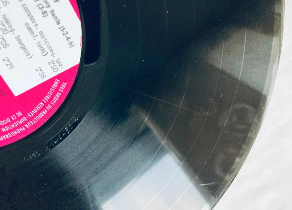 Disco de vinil 33T Françoise Hardy La maison où j’ai grandi. – photo 6